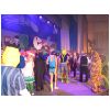 k-Fasching 2014-2 228.JPG